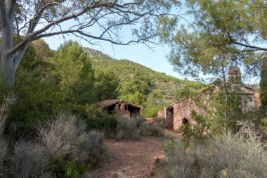 Ormanın İspanya ortasında terk edilmiş bir evde