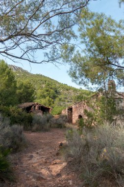 Ormanın İspanya ortasında terk edilmiş bir evde
