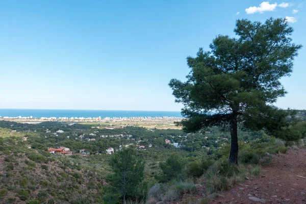 Mar Mediterrâneo Deserto Das Palmeiras Benicassim Espanha — Fotografia de Stock