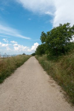 Camino Santiago yükseklikte, AF, İspanya