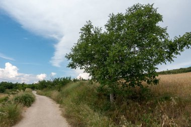 Camino Santiago yükseklikte, AF, İspanya