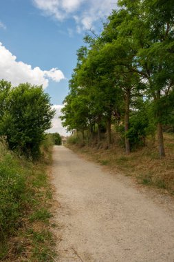 Camino Santiago yükseklikte, AF, İspanya