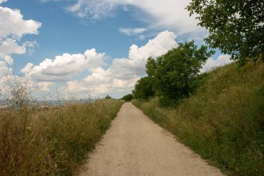 Camino Santiago yükseklikte, AF, İspanya