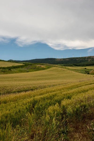 Camino Santiago Vrcholu Odpuštění Španělsko — Stock fotografie