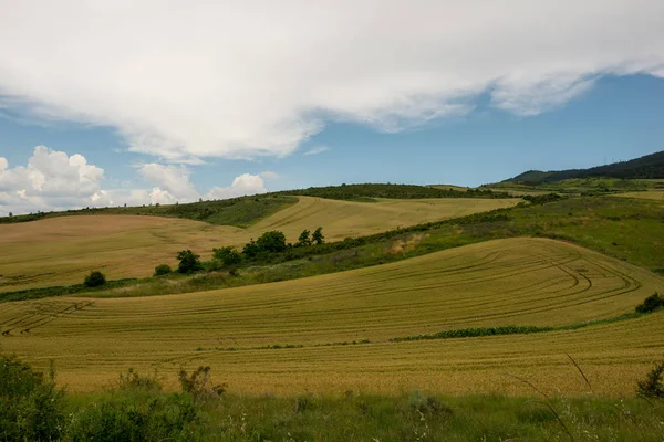 Camino Santiago Height Forgiveness Spain — Stock Photo, Image