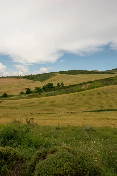 Camino Santiago Auf Dem Höhepunkt Der Vergebung Spanien — Stockfoto