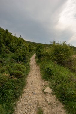Camino Santiago yükseklikte, AF, İspanya