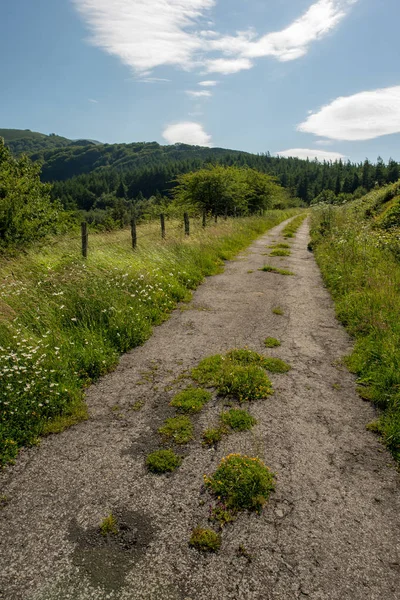 Шлях Сантьяго Між Valcarlos Roncesvalles Іспанія — стокове фото