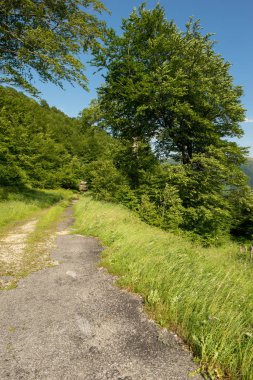 Santiago yolu valcarlos ve roncesvalles, İspanya arasında
