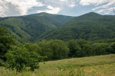 Santiago yolu valcarlos ve roncesvalles, İspanya arasında