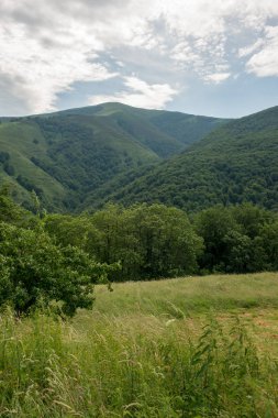 Santiago yolu valcarlos ve roncesvalles, İspanya arasında