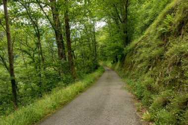 Bir şekilde Santiago pirneos tarafından valcarlos, İspanya