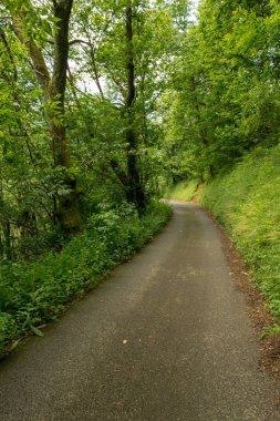 Bir şekilde Santiago pirneos tarafından valcarlos, İspanya