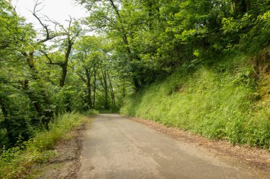 Bir şekilde Santiago pirneos tarafından valcarlos, İspanya