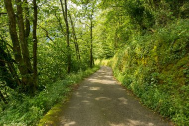 Bir şekilde Santiago pirneos tarafından valcarlos, İspanya