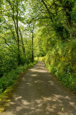 Bir şekilde Santiago pirneos tarafından valcarlos, İspanya