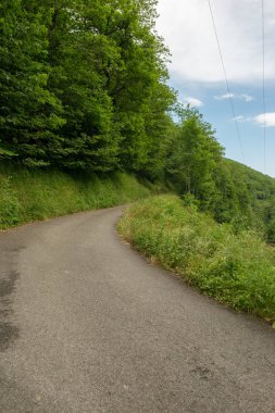 Bir şekilde Santiago pirneos tarafından valcarlos, İspanya