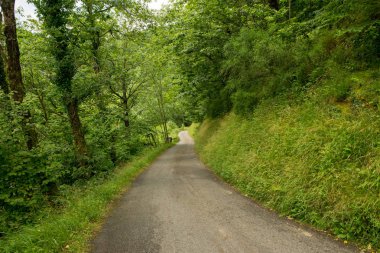 Bir şekilde Santiago pirneos tarafından valcarlos, İspanya