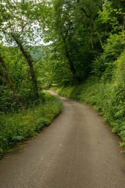 Bir şekilde Santiago pirneos tarafından valcarlos, İspanya