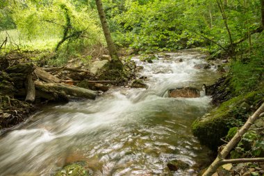 Bir şekilde Santiago pirneos tarafından valcarlos, İspanya