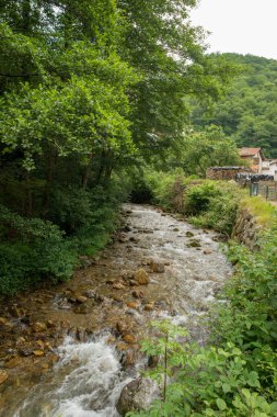 Bir şekilde Santiago pirneos tarafından valcarlos, İspanya