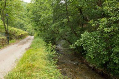 Bir şekilde Santiago pirneos tarafından valcarlos, İspanya