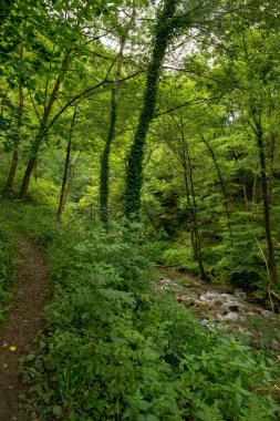 Bir şekilde Santiago pirneos tarafından valcarlos, İspanya