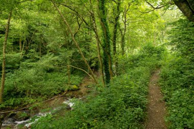 Bir şekilde Santiago pirneos tarafından valcarlos, İspanya