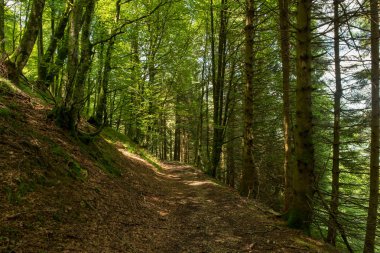 Bir şekilde Santiago pirneos tarafından valcarlos, İspanya