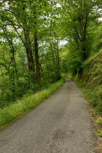 Camino Santiago Los Pirneos Por Valcarlos España — Foto de Stock