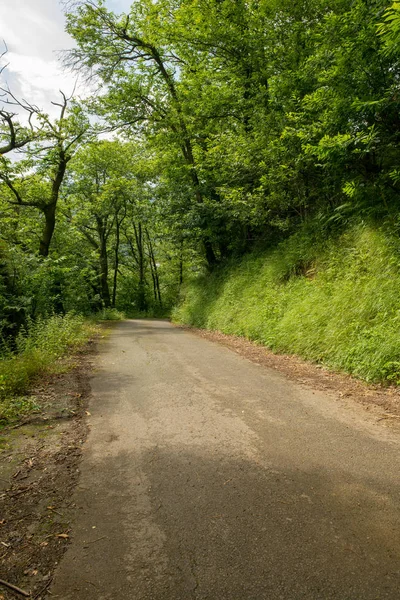 Bir şekilde Santiago pirneos tarafından valcarlos, İspanya
