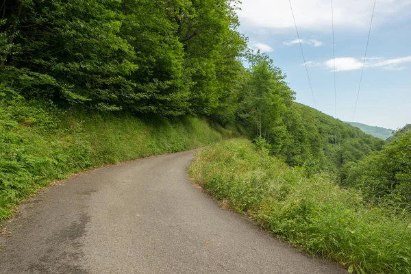 Manier Van Santiago Pirneos Door Valcarlos Spanje — Stockfoto