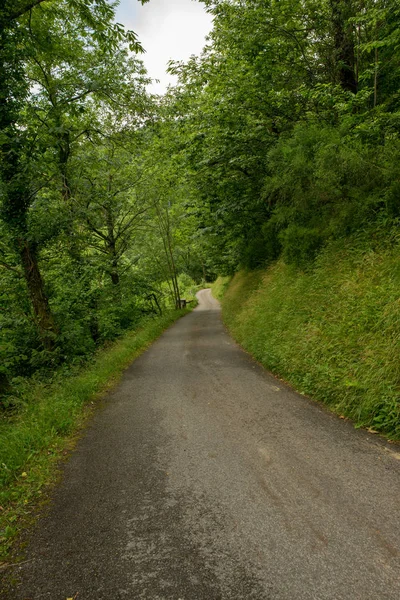 Camino Santiago Los Pirneos Por Valcarlos España — Foto de Stock