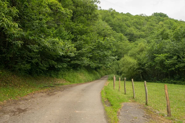 Camino Santiago Los Pirneos Por Valcarlos España — Foto de Stock