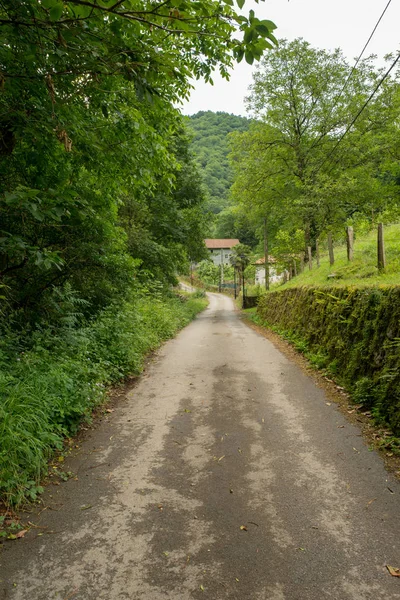 Manier Van Santiago Pirneos Door Valcarlos Spanje — Stockfoto