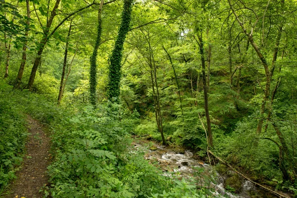 Bir şekilde Santiago pirneos tarafından valcarlos, İspanya