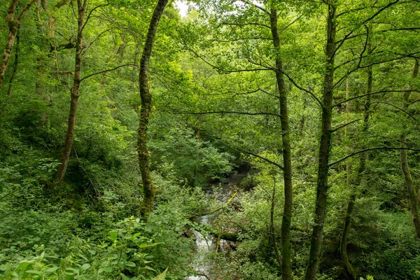 Bir şekilde Santiago pirneos tarafından valcarlos, İspanya