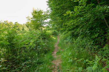 Bir şekilde Santiago pirneos tarafından valcarlos, İspanya