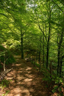 Bir şekilde Santiago pirneos tarafından valcarlos, İspanya