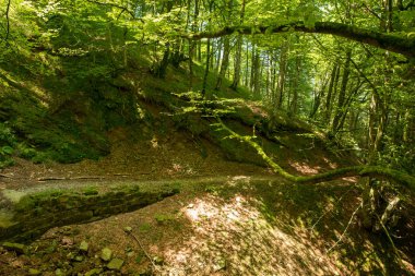 Bir şekilde Santiago pirneos tarafından valcarlos, İspanya