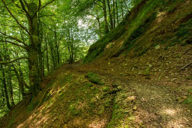 Bir şekilde Santiago pirneos tarafından valcarlos, İspanya