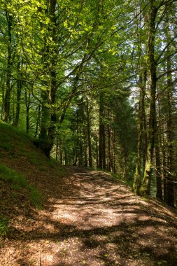 Bir şekilde Santiago pirneos tarafından valcarlos, İspanya