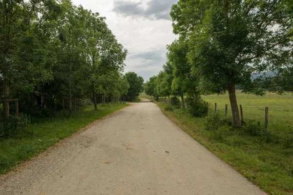 Der Weg Nach Santiago Durch Burguete Spanien — Stockfoto