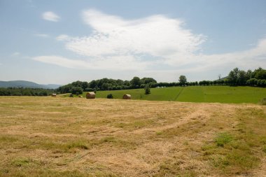 Santiago Roncesvalles ve Zubiri, İspanya arasında giden yol