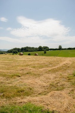 Santiago Roncesvalles ve Zubiri, İspanya arasında giden yol