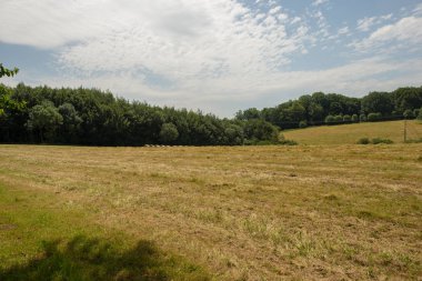 Santiago Roncesvalles ve Zubiri, İspanya arasında giden yol