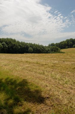 Santiago Roncesvalles ve Zubiri, İspanya arasında giden yol