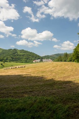 Santiago Roncesvalles ve Zubiri, İspanya arasında giden yol