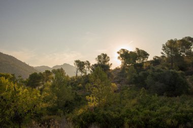Çölde şafak, İspanya avuç