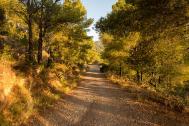 Çölde şafak, İspanya avuç